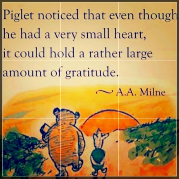 ⚜️ VICTORIA'S SECRET DEADSTOCK Sexy FLORAL LINGERIE NWOT 2 piece Set NWOT - Picture 13 of 16